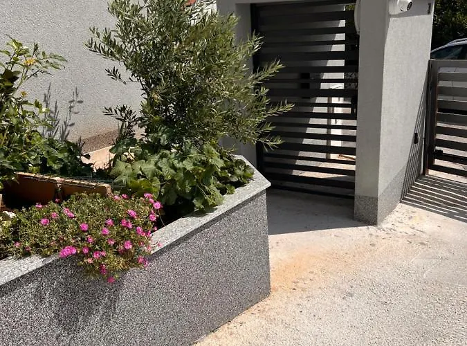 Appmishadze * 茨里克韦尼察