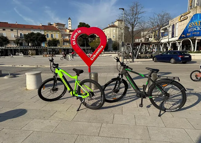 Appmishadze 公寓 *