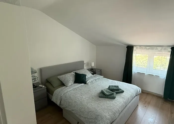 Appmishadze 茨里克韦尼察